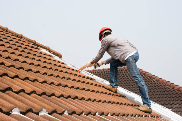 Best Roof Ventilation Installation  in Waukon, IA